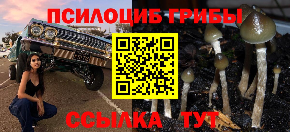 Псилоцибиновые грибы Cubensis  как найти   Кандалакша  Вход с VPN 