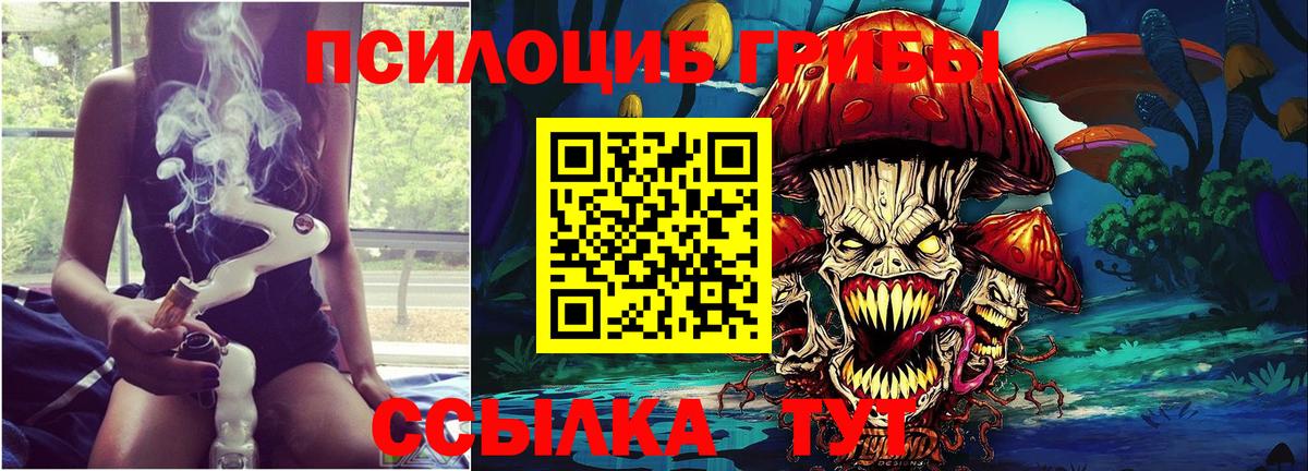 Галлюциногенные грибы Psilocybe Кандалакша
